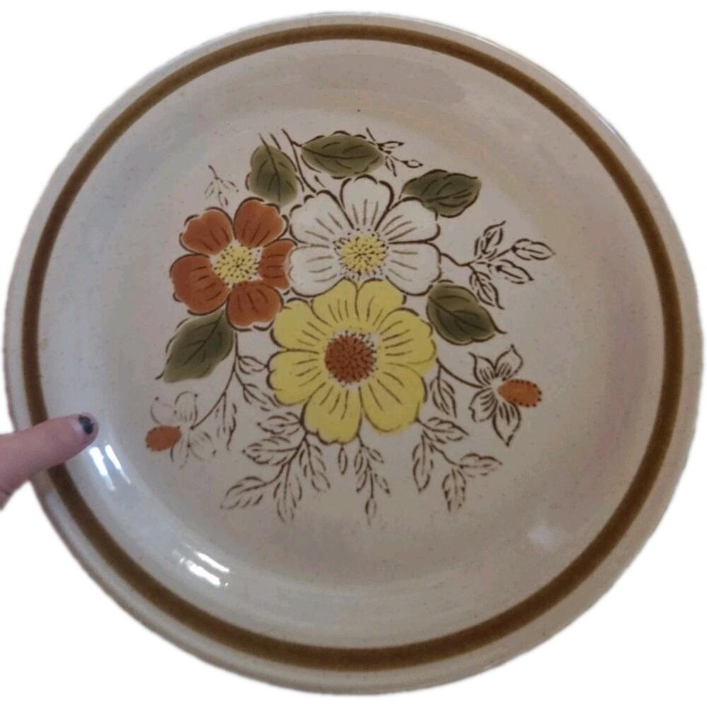 Vintage Old Brook Stoneware "TRAILWOODS" Individual Dinner Plate Japan EUC